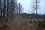 A bérc
