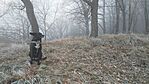 Maki fülét lobogtatja a jeges szél :)