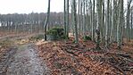 közeledünk