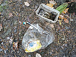 IMG_20241208_100022