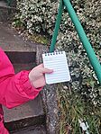 IMG_20241207_125146.jpg