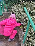 IMG_20241207_125330.jpg