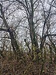 IMG_20241211_112552