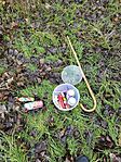 IMG_20241211_113114