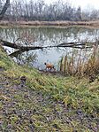 IMG_20241211_113346