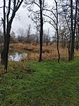 IMG_20241211_113534