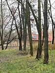 IMG_20241211_113550