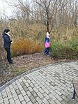 IMG_20241211_124349