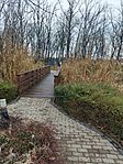 IMG_20241211_124610