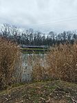 IMG_20241211_124615