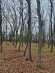IMG_20241211_124715