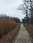 IMG_20241211_124721
