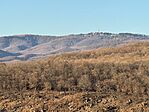 IMG_2995