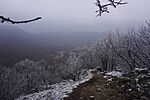 DSC00056