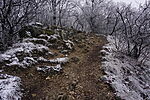 DSC00058