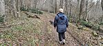IMG_20241208_095934