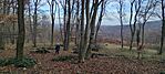 IMG_20241208_101323