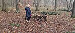 IMG_20241208_101404