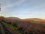 IMG_20241125_154248