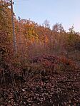 IMG_20241125_162351