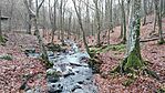 IMG_20241210_105159