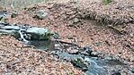 IMG_20241210_105219