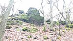 IMG_20241210_121721