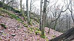 IMG_20241210_121727