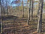 IMG_20241208_135241_MP