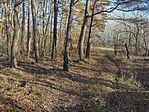 IMG_20241208_135246_MP