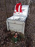 IMG_20241215_142549_146
