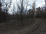 IMG_20241215_153623_494