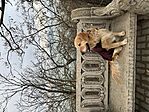 IMG_9327