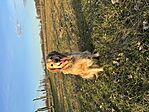 IMG_9405