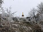 IMG_0512.HEIC
