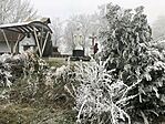 IMG_0518.HEIC