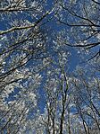 IMG_6869