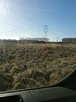 IMG_20250129_131131