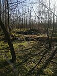 IMG_20250129_132847