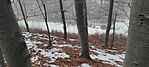 IMG_20241230_123637