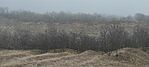IMG_20241229_142007