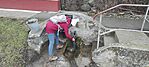 IMG_20241229_145022