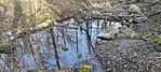 IMG_20250111_114459