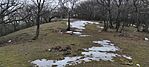 IMG_20250106_125621