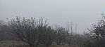 IMG_20250125_105159