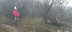 IMG_20250125_105203