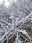 IMG_20250101_131309