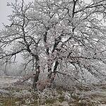 IMG_20250101_124640