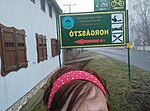 IMG_20250104_081944