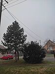 IMG_20250104_082115
